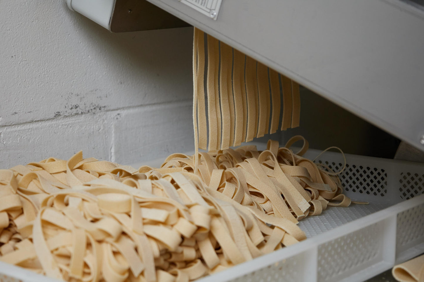 Pappardelle No Egg