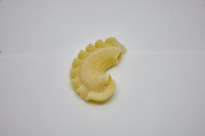 Creste Di Gallo No Egg